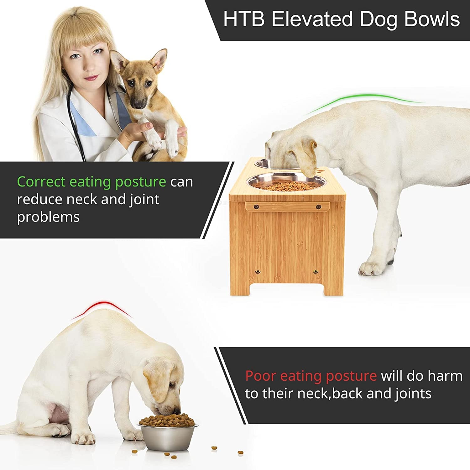 Elevated Dog Bowl Stand with Two Stainless Steel Bowls for Small, Medium, and Large Dogs