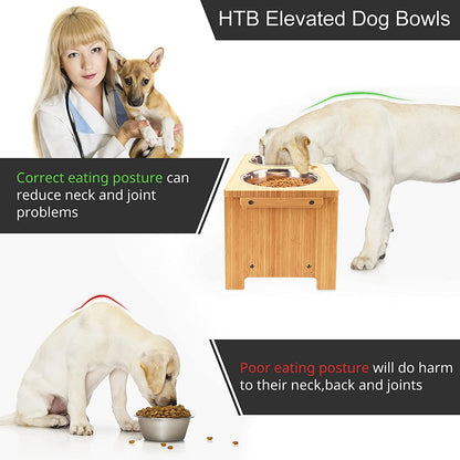 Elevated Dog Bowl Stand with Two Stainless Steel Bowls for Small, Medium, and Large Dogs